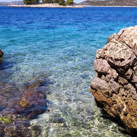 3 Palme Bašelovići
