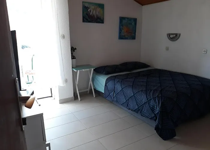 3 Palme * Baselovici