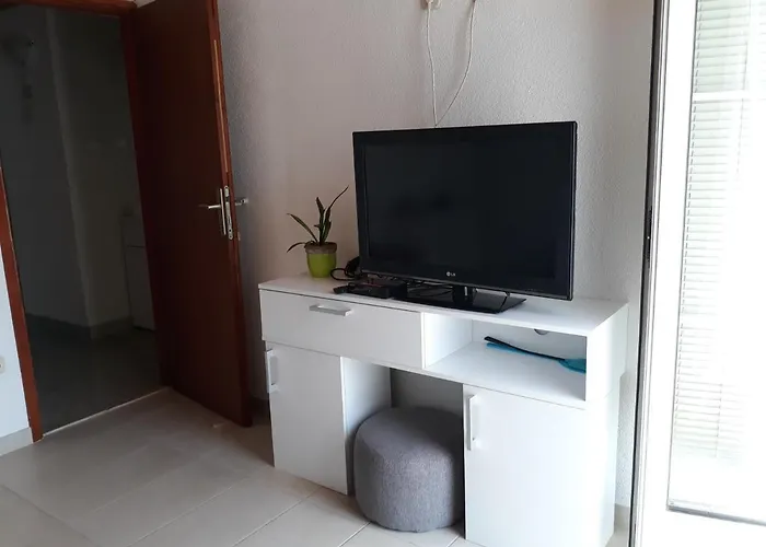 3 Palme * Baselovici