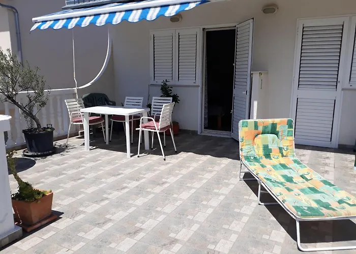 3 Palme * Baselovici