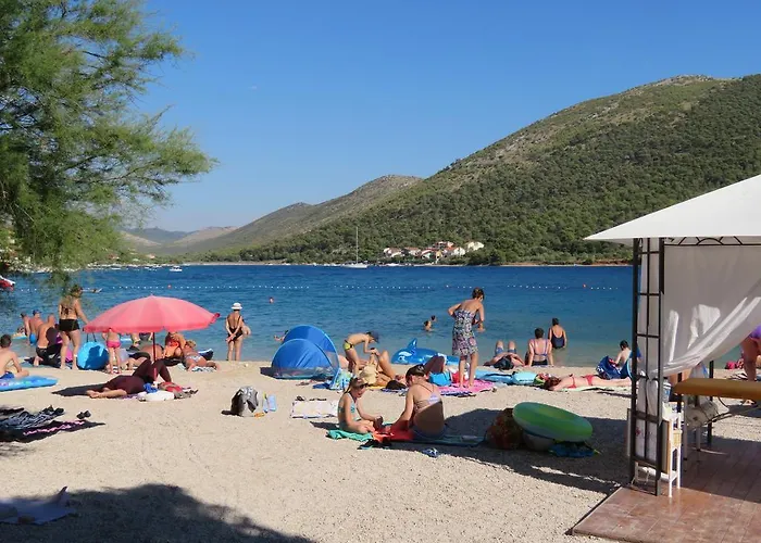 3 Palme Appartement Baselovici