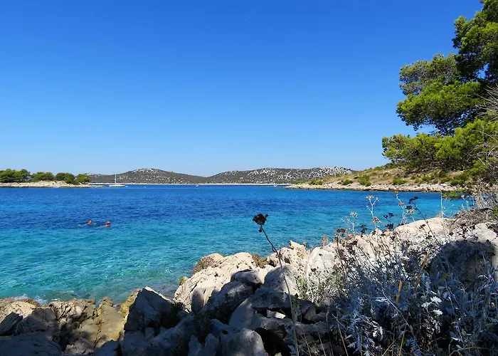 3 Palme Appartement Baselovici