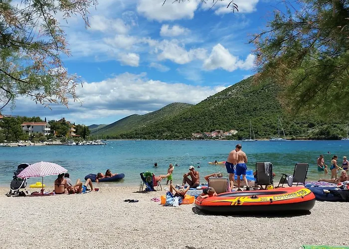 3 Palme * Baselovici