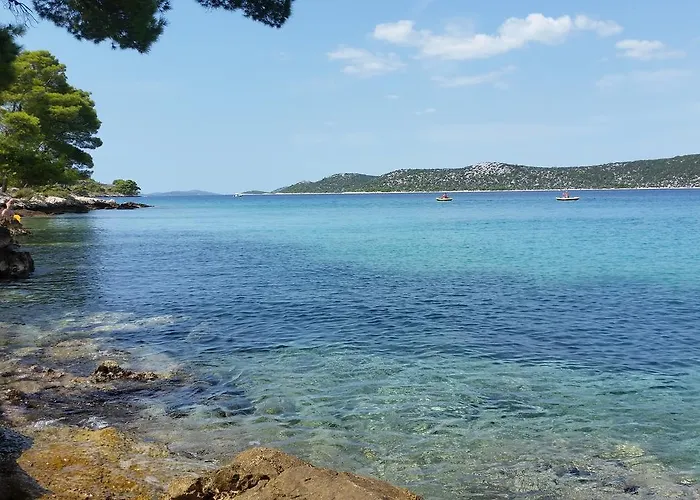 Appartement 3 Palme Baselovici